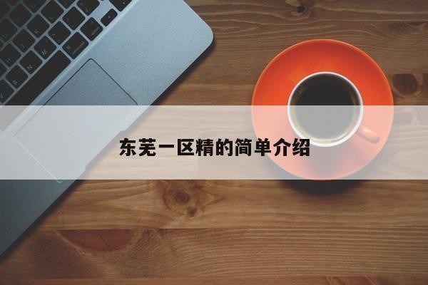 东芜一区精的简单介绍