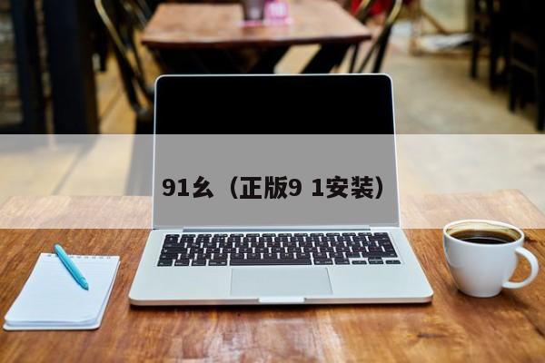 91幺（正版9 1安装）
