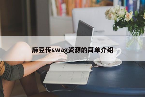 麻豆传swag资源的简单介绍